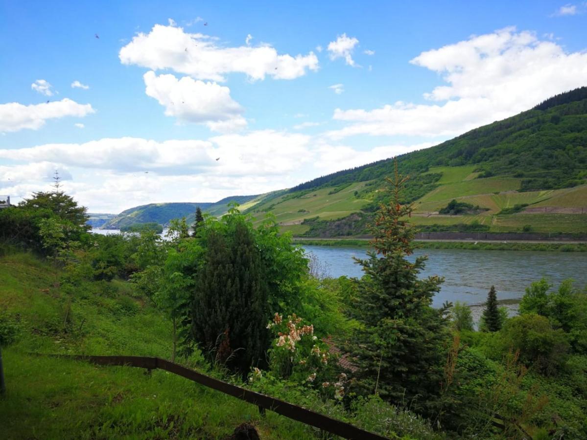 Wunderschoene Aussicht Garantiert Trechtingshausen Kültér fotó